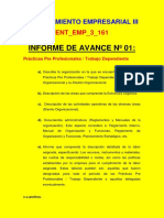 INF - AVAN - 01 Prácticas Pre Profesionales PDF