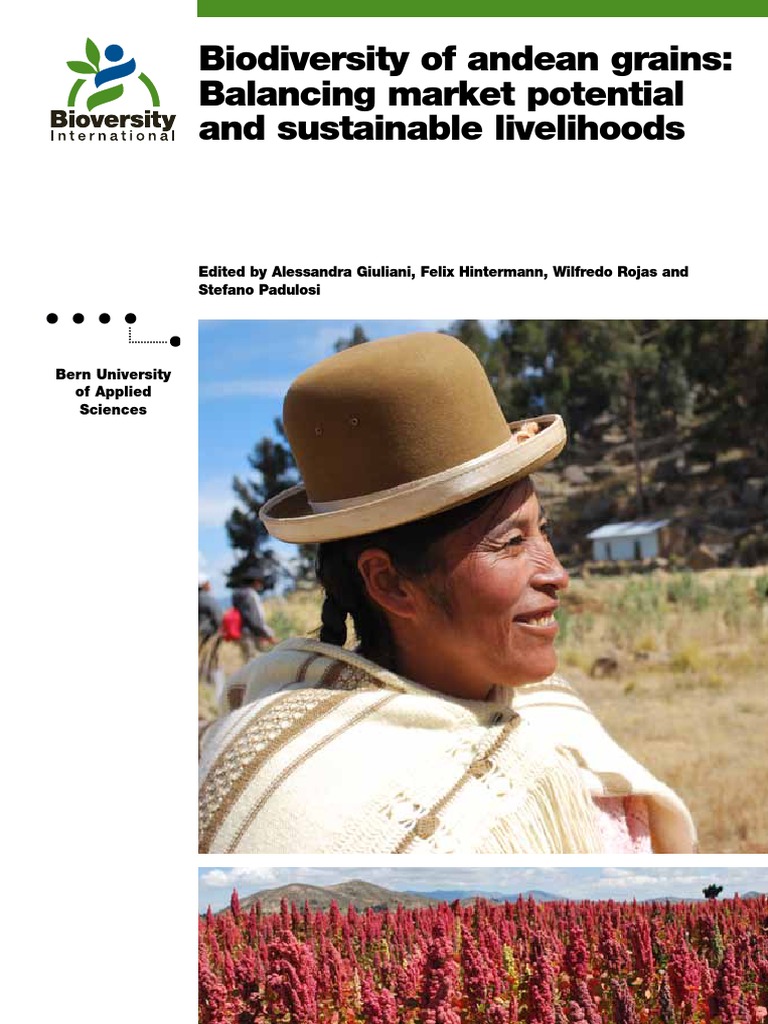 Biodiversity Andean Grains PDF Quinoa Food Security