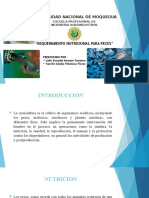 Requerimiento Nutricional en Peces