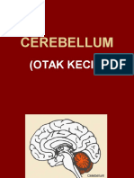 Cerebellum (Otak Kecil) - Fungsi, Struktur, dan Gangguannya