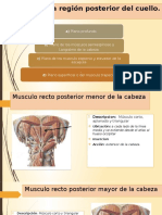 Diapositiva Músculos Anteriores Del Cuello