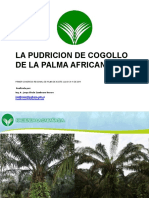 La Pudricion de Cogollo de La Palma Africana
