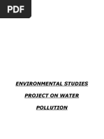Download Environmental Studies Project on Water Pollution by Shobhit Goswami SN312738162 doc pdf