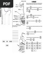 Atividade de Ciencias