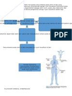 Peripherial Arteri Disease