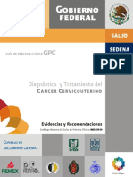 Guía CENETEC. Diagnóstico y Tratamiento de Cáncer Cervicouterino