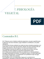 Tema 7 Fisiologia Vegetal