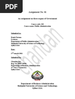 An_assignment_on_three_organs_of_Governm.doc