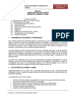 Guia Practica N 5 Evaluacion de Muneca y Mano PDF