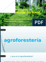 Agroforestería vs Conservación Del Suelo