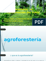 Agroforestería vs conservación suelos