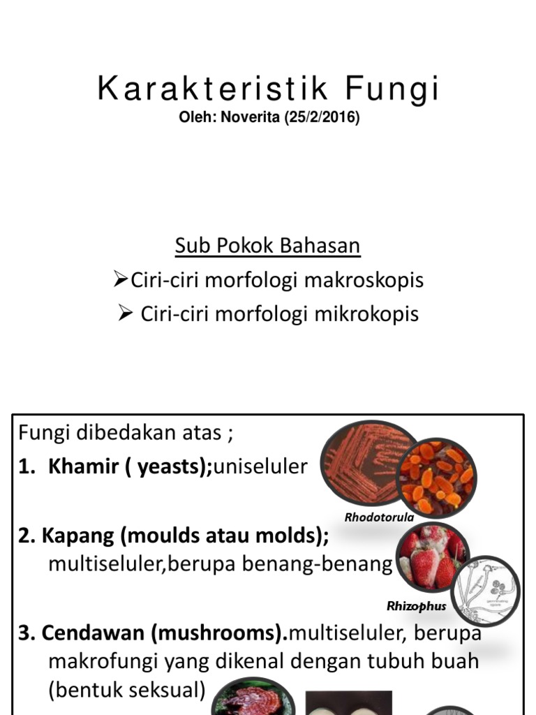 Tort erkak bitta ayolni sikadi