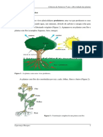 diversidade de plantas 5º.pdf