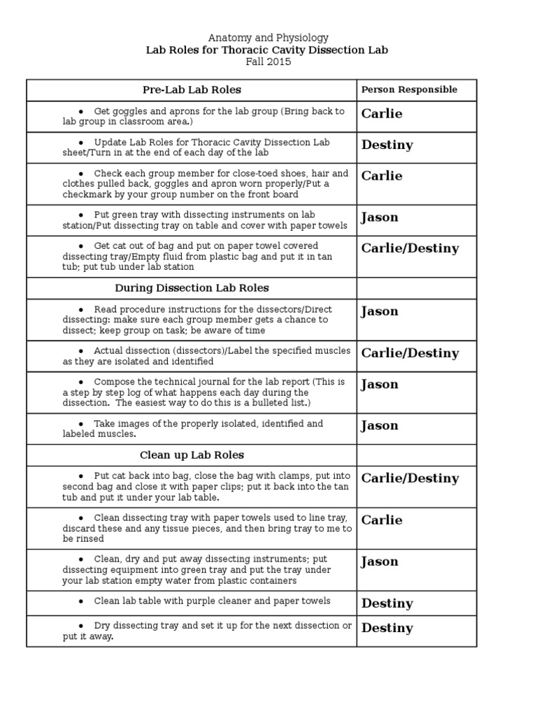 Thoracic Cavity Dissection Lab Roles | PDF