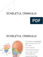 SCHELETUL