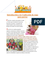 1)Introducción-Indumentaria