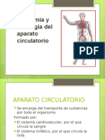 Sistema Circulatorio Diapositiva