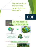 El Ambiente en Manos de Instituciones Gubernamentales de Venezuela