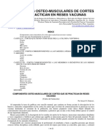 Componentes Osteomusculares de Cortes