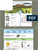 Ecologia Del PerúI