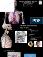 Evaluación y Semiología Del Sistema Respiratorio PDF