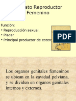 Aparato Reproductor Femenino Romina