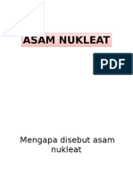 Asam Nukleat