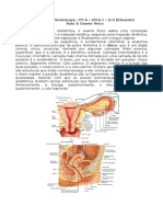 Exame físico ginecológico e anatomia pélvica feminina