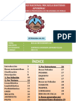 TRABAJO DE PETROLOGIA.pdf