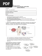 Prueba de Ciencias Naturales 
