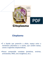 Citoplasma PDF