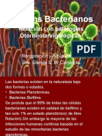 Biofilms Bacterianos