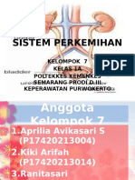 ppt SISTEM PERKEMIHAN.pptx