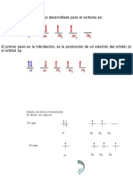 Hibridacion 1