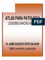 atlas de patologia