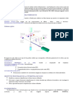 Citometria de Flujo.