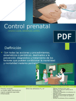 Control Prenatal