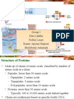 Review Protein Dan Enzim