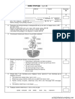 Son 2 Ziva Priroda Provera Dve Grupe 2 DOBRO