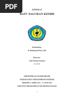 Download REFERAT Batu Saluran Kemih by Al Adin SN312870377 doc pdf