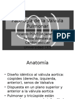 Pathology of the Pulmonary Valve