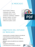 formulación y evaluación de proyectos inversión privada - presentación numero 1