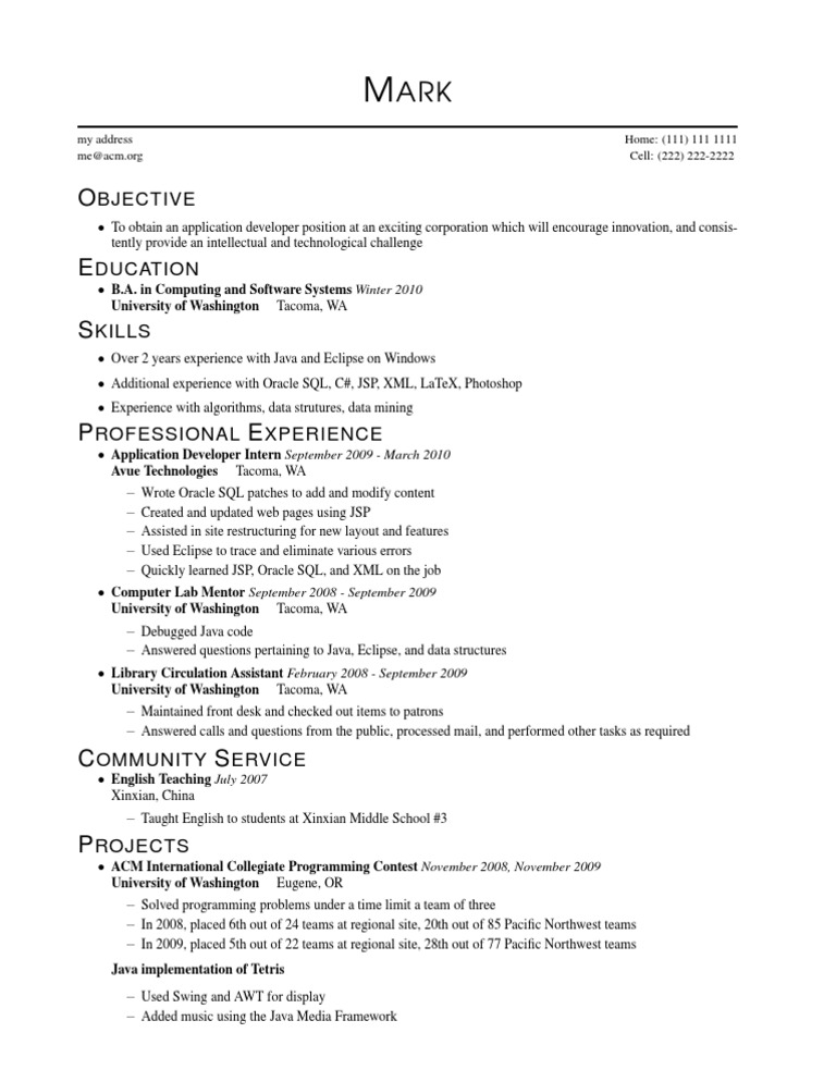 Application Developer Resume | PDF