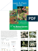 Flower & Plant Guide: A selection of popular flowers and plants throughout the peak season