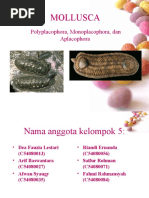 Download mollusca by Baswantara SN31288264 doc pdf