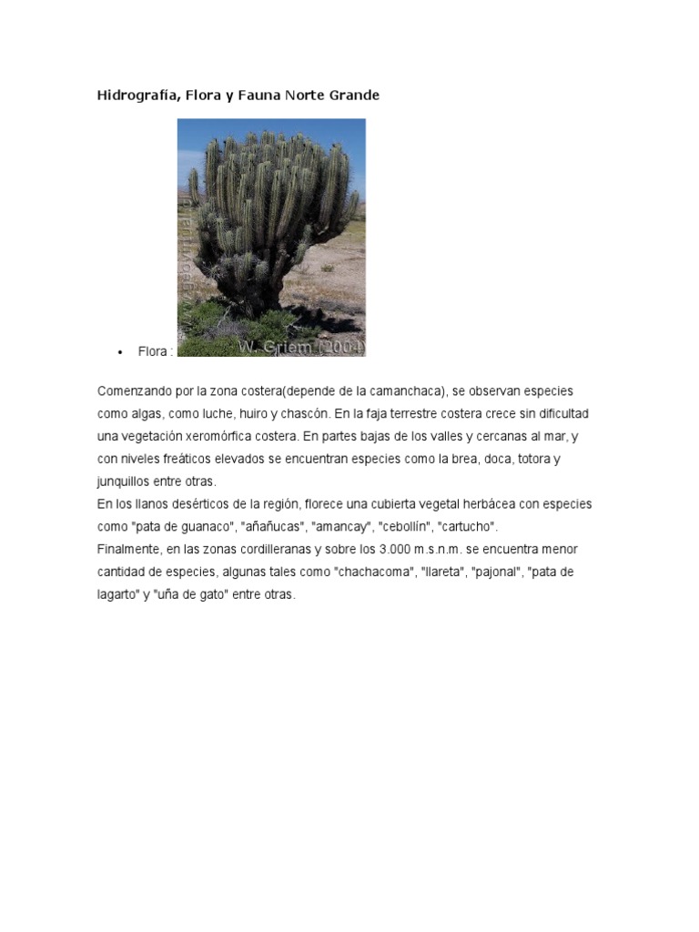 Biodiversidad del Norte Grande de Chile | PDF