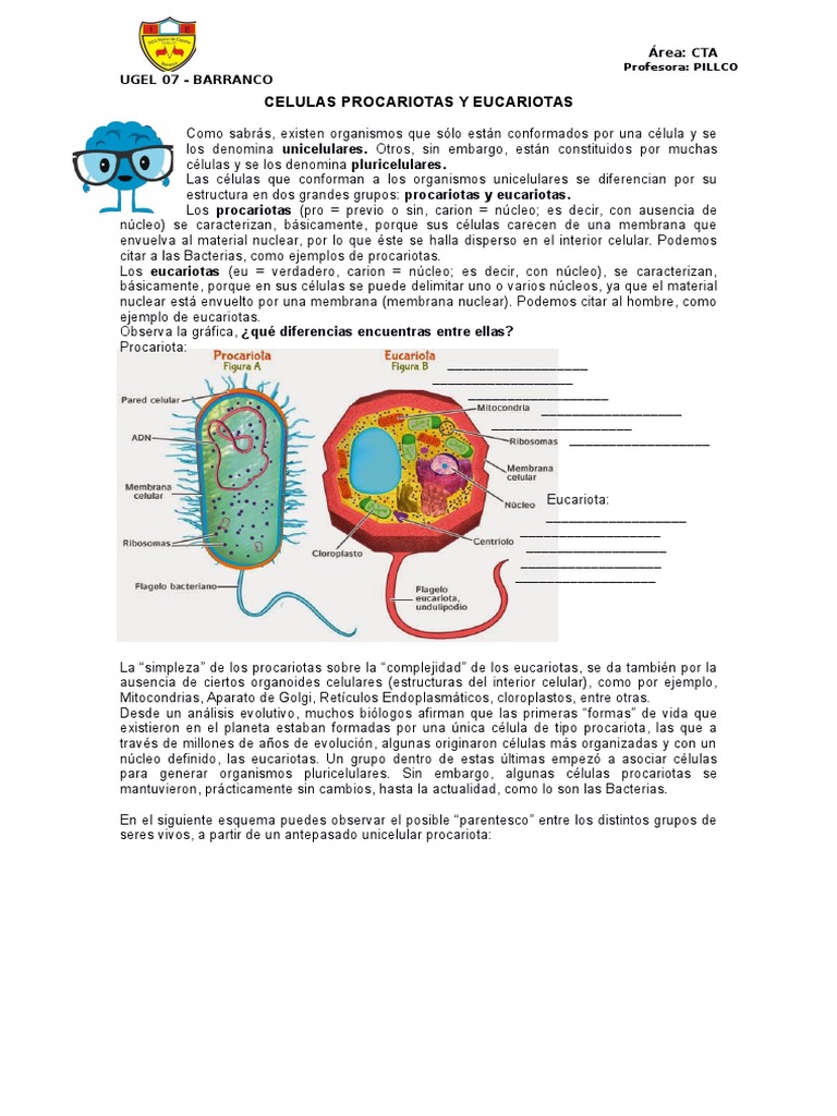 Comparativa de Células Procariotas y Eucariotas | PDF | Eucariotas ...