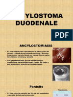  ancylostoma duodenale generalidades