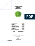 Laporan Kimfis Termodinamika1