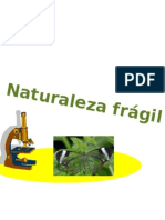 Naturaleza Frágil